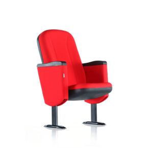 1- ETNA SİNEMA & KONFERANS