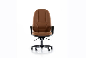 AManager-001-1 MANAGER P KOLTUĞU