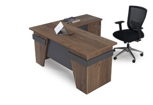 EFES ÇALIŞMA MASASI