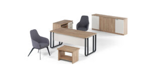 Goldist0043 SENTEZ OFİS TAKIMI