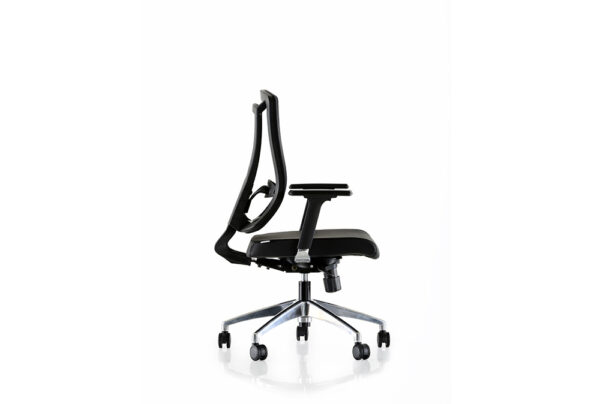 Parox-100C-3 PAROX CA