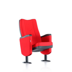 a- GIZA SİNEMA & KONFERANS