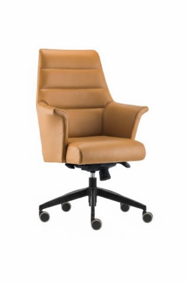 AVİS ÇALIŞMA KOLTUĞU