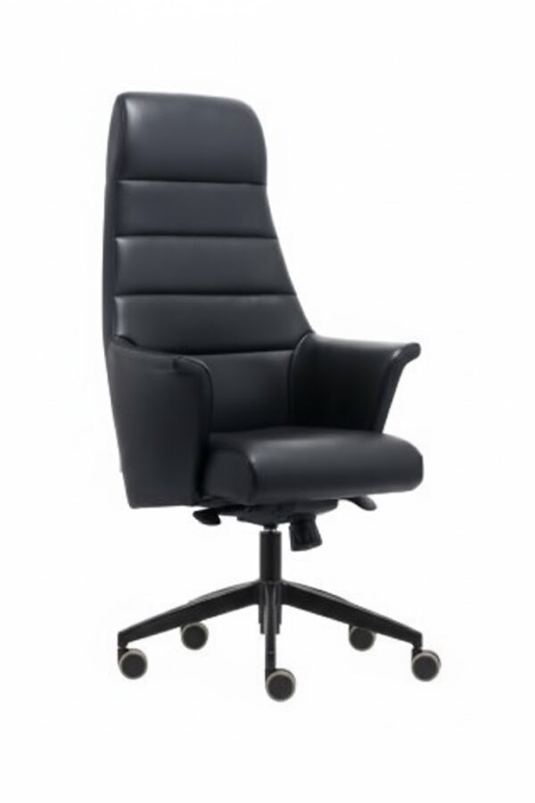 AVİS YÖNETİCİ KOLTUĞU