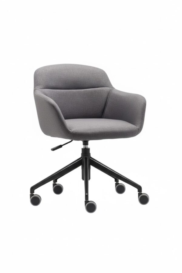 CARLA ÇALIŞMA KOLTUĞU