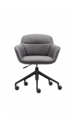 CARLA1 CARLA ÇALIŞMA KOLTUĞU