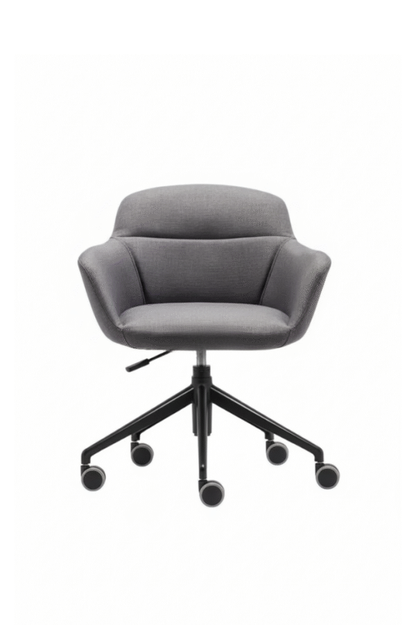 CARLA ÇALIŞMA KOLTUĞU