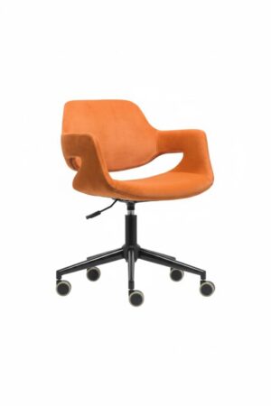 CEO ÇALIŞMA KOLTUĞU