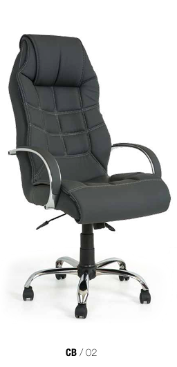 Ekran görüntüsü 2025-10-03 161237 CB 02 KOLTUK