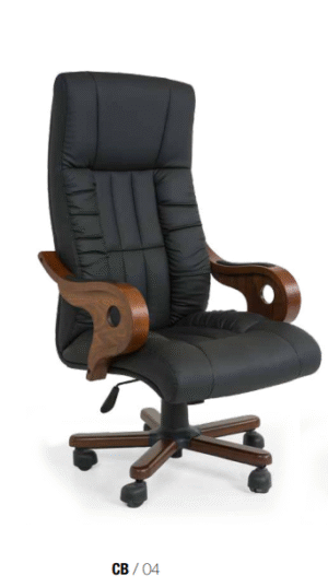 Ekran görüntüsü 2025-10-05 163703 CB 04 YÖNETİCİ KOLTUĞU