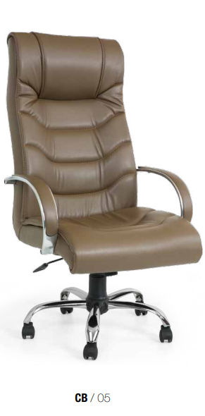CB 05 YÖNETİCİ KOLTUĞU