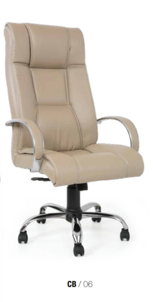 Ekran görüntüsü 2025-10-05 163834 CB 06 YÖNETİCİ KOLTUĞU