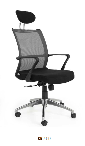 CB 09 YÖNETİCİ KOLTUĞU