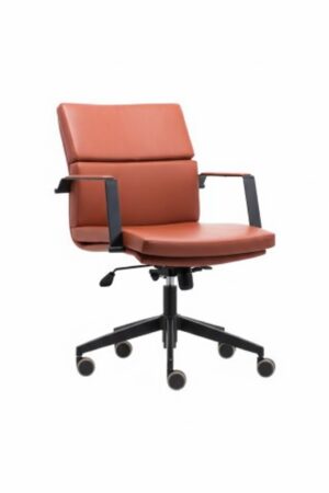 NESSA NESSA ÇALIŞMA KOLTUĞU