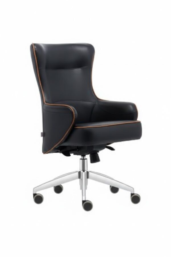 OSCAR ÇALIŞMA KOLTUĞU