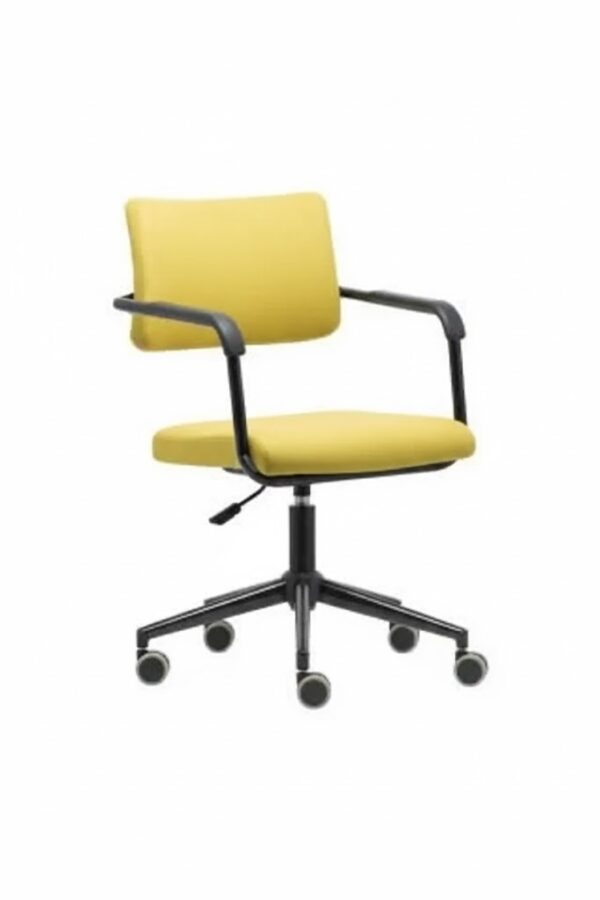 REX ÇALIŞMA KOLTUĞU