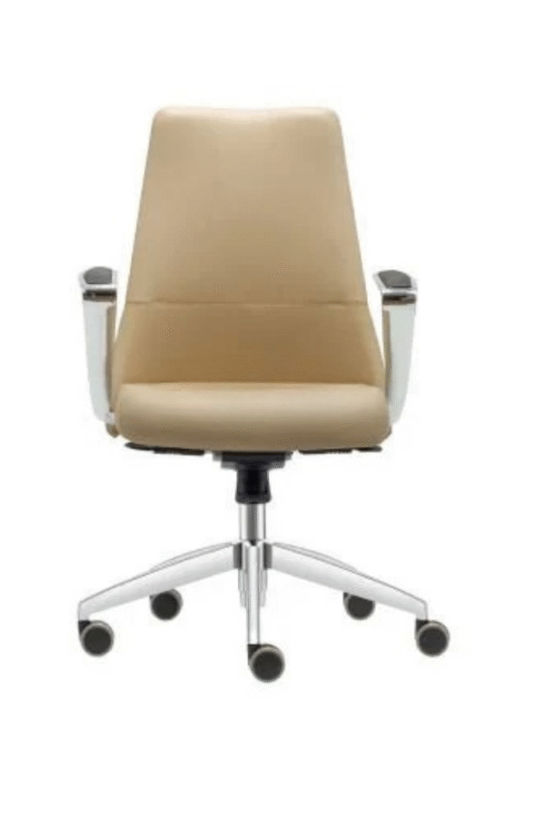 VİGOR ÇALIŞMA KOLTUĞU