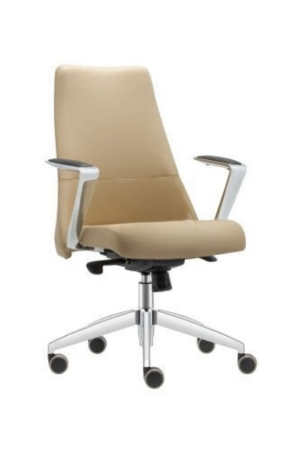 VİGOR ÇALIŞMA KOLTUĞU