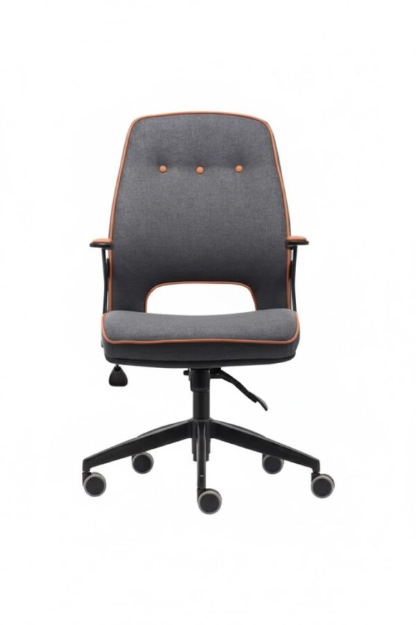 VİSTA ÇALIŞMA KOLTUĞU