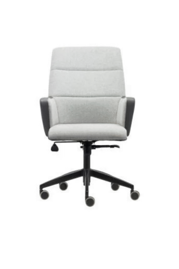 VİVA ÇALIŞMA KOLTUĞU