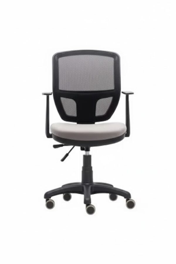 MİCRO ÇALIŞMA KOLTUĞU