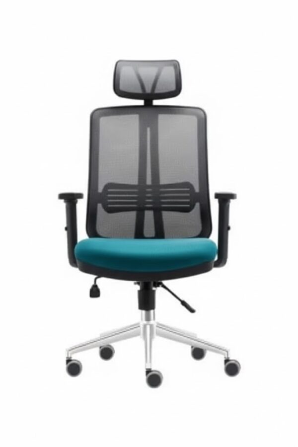 RELAX YÖNETİCİ KOLTUĞU