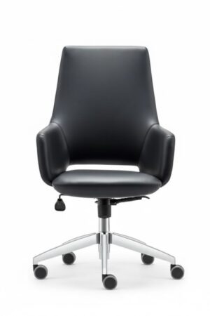 unnamed (10) ARES YÖNETİCİ KOLTUĞU