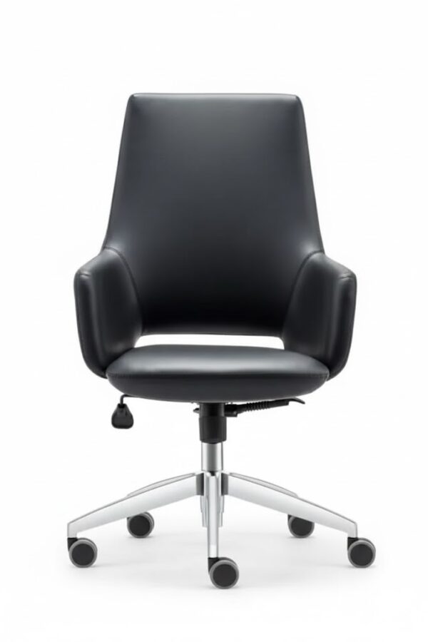 ARES YÖNETİCİ KOLTUĞU