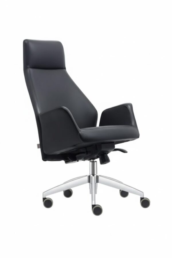 APEX YÖNETİCİ KOLTUĞU