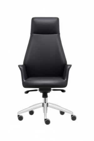 unnamed (14) APEX YÖNETİCİ KOLTUĞU