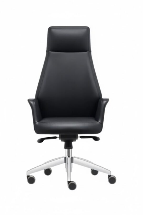 APEX YÖNETİCİ KOLTUĞU