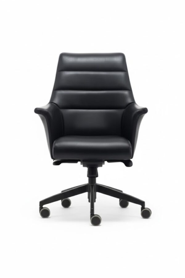 AVİS ÇALIŞMA KOLTUĞU