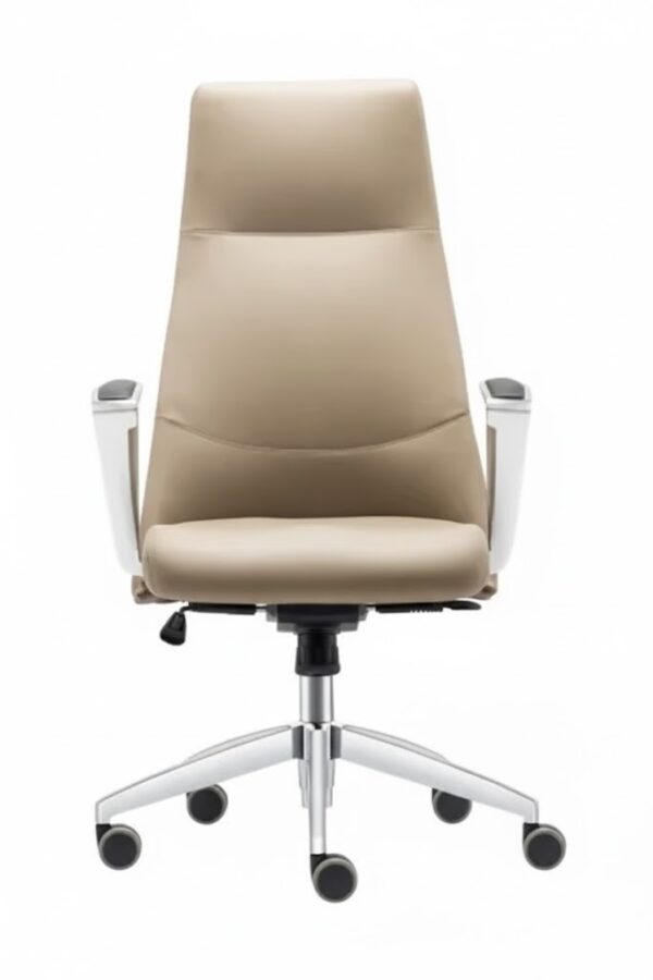 VİGOR YÖNETİCİ KOLTUĞU