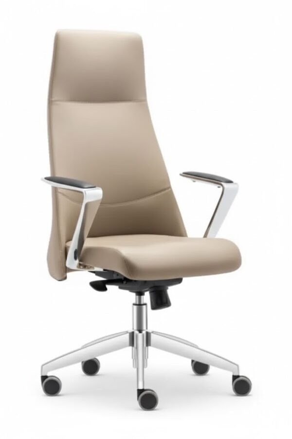 VİGOR YÖNETİCİ KOLTUĞU