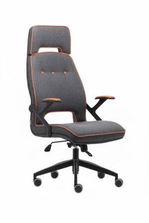 VİSTA YÖNETİCİ KOLTUĞU