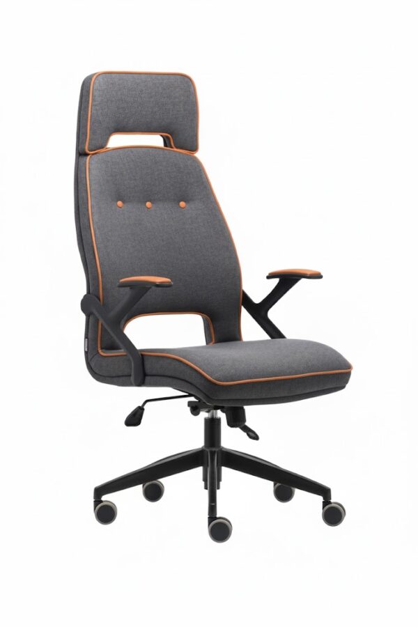 VİSTA YÖNETİCİ KOLTUĞU