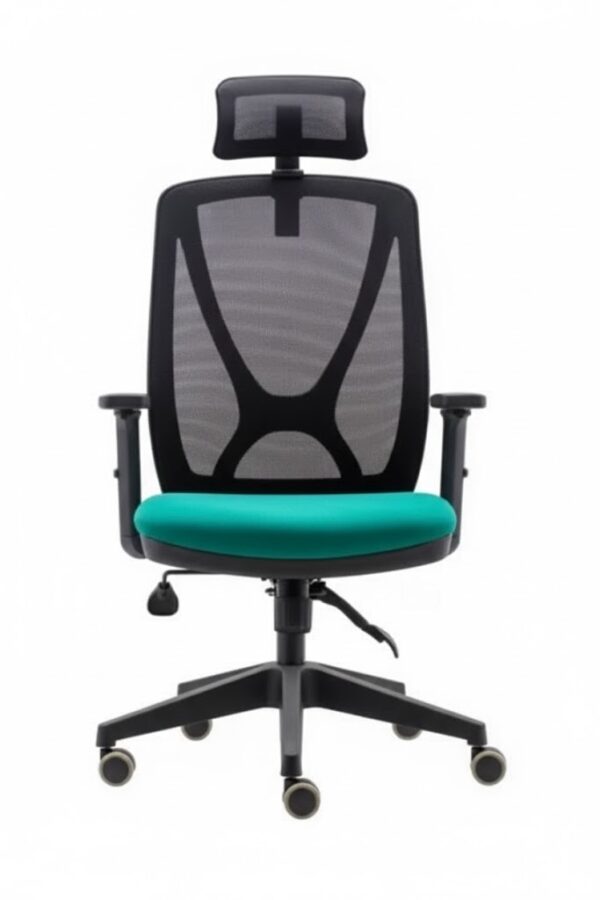 SMART YÖNETİCİ KOLTUĞU