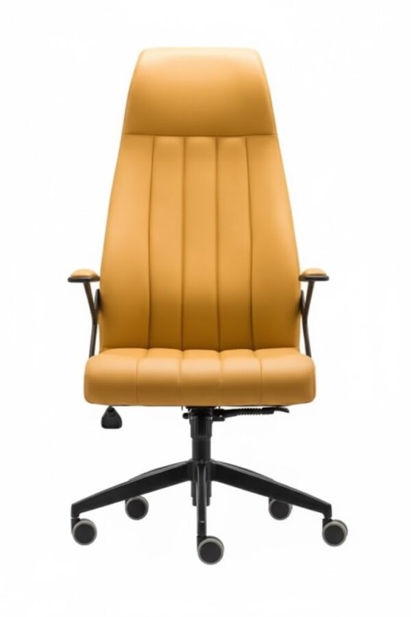 PUMA YÖNETİCİ KOLTUĞU