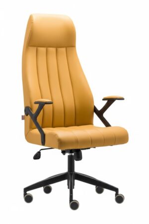 unnamed (24) PUMA YÖNETİCİ KOLTUĞU