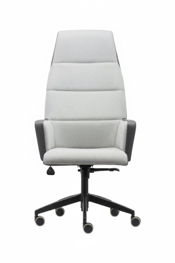 VİVA YÖNETİCİ KOLTUĞU