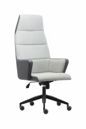 VİVA YÖNETİCİ KOLTUĞU