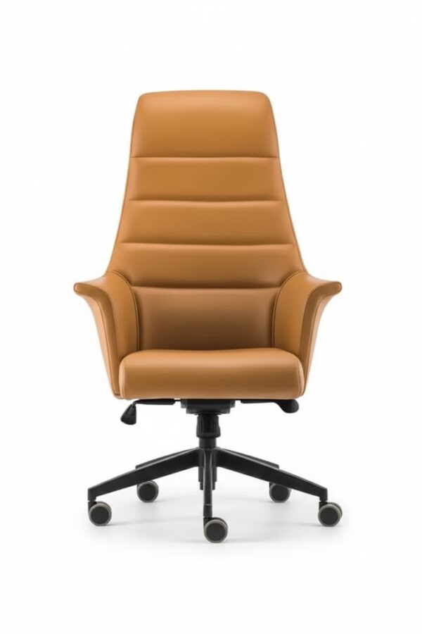 AVİS YÖNETİCİ KOLTUĞU