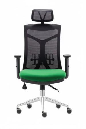 unnamed VEGA YÖNETİCİ KOLTUĞU