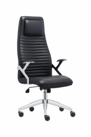 unnamed (33) ALFA YÖNETİCİ KOLTUĞU