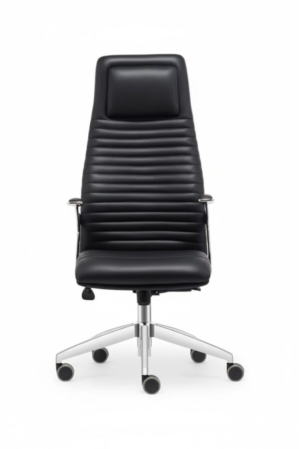 ALFA YÖNETİCİ KOLTUĞU