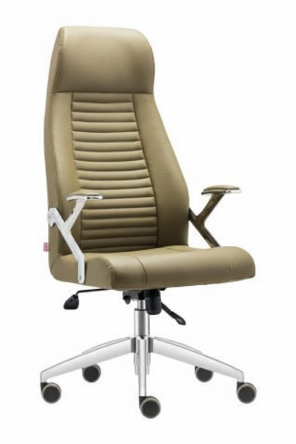 PULSAR YÖNETİCİ KOLTUĞU