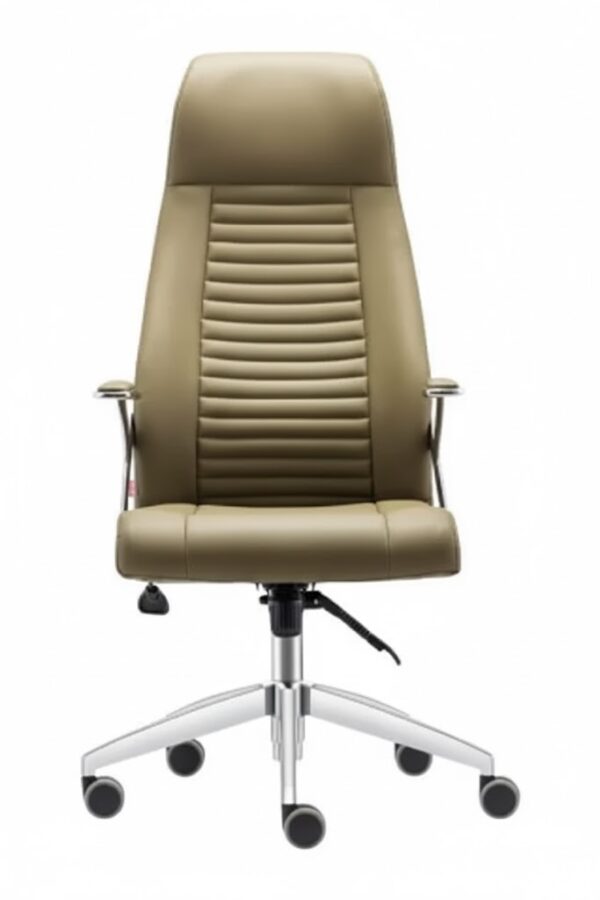 PULSAR YÖNETİCİ KOLTUĞU