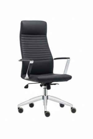 unnamed (37) TEMPO YÖNETİCİ KOLTUĞU