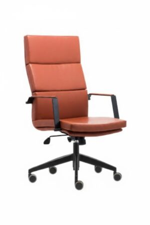 unnamed (39) NESSA YÖNETİCİ KOLTUĞU