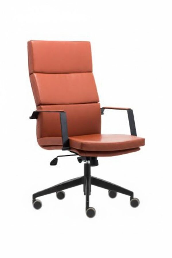 NESSA YÖNETİCİ KOLTUĞU